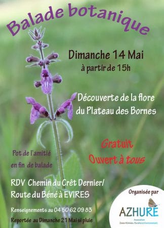 Balade botanique le 14 mai 2017