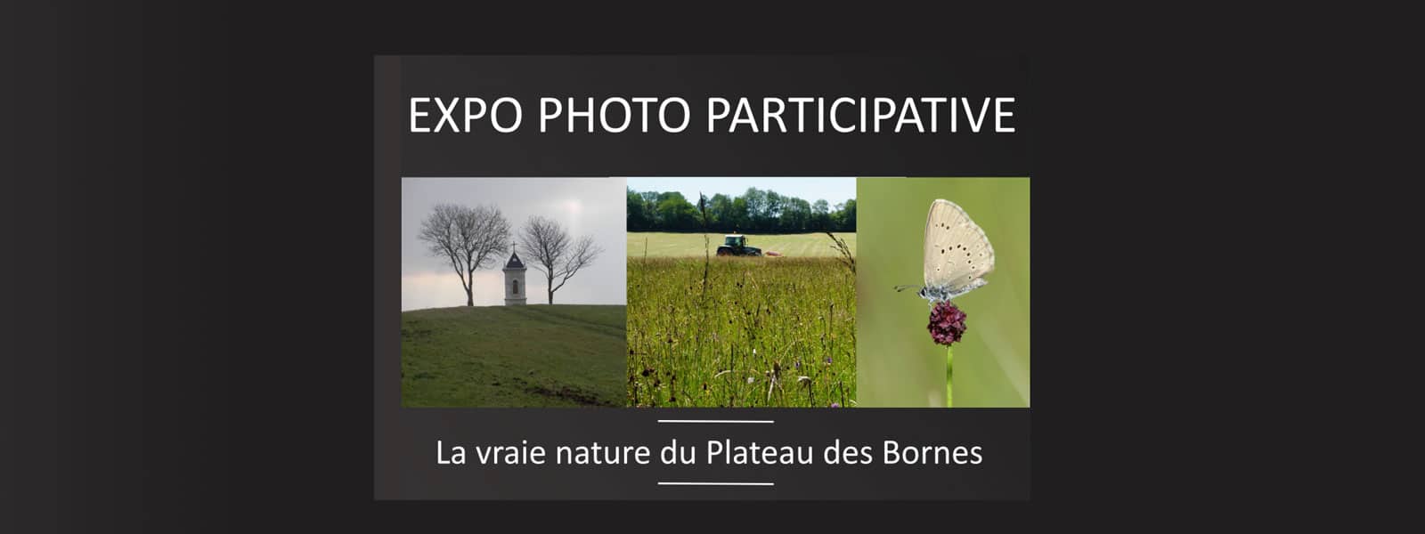 Expo-photo participative « La vraie nature du Plateau des Bornes »