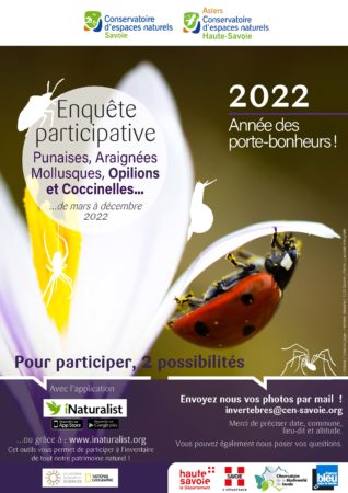 Enquête participative coccinelles 2022